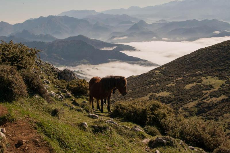 Duplex Con Vistas Al Picu Pienzu, Colunga Daire Dış mekan fotoğraf